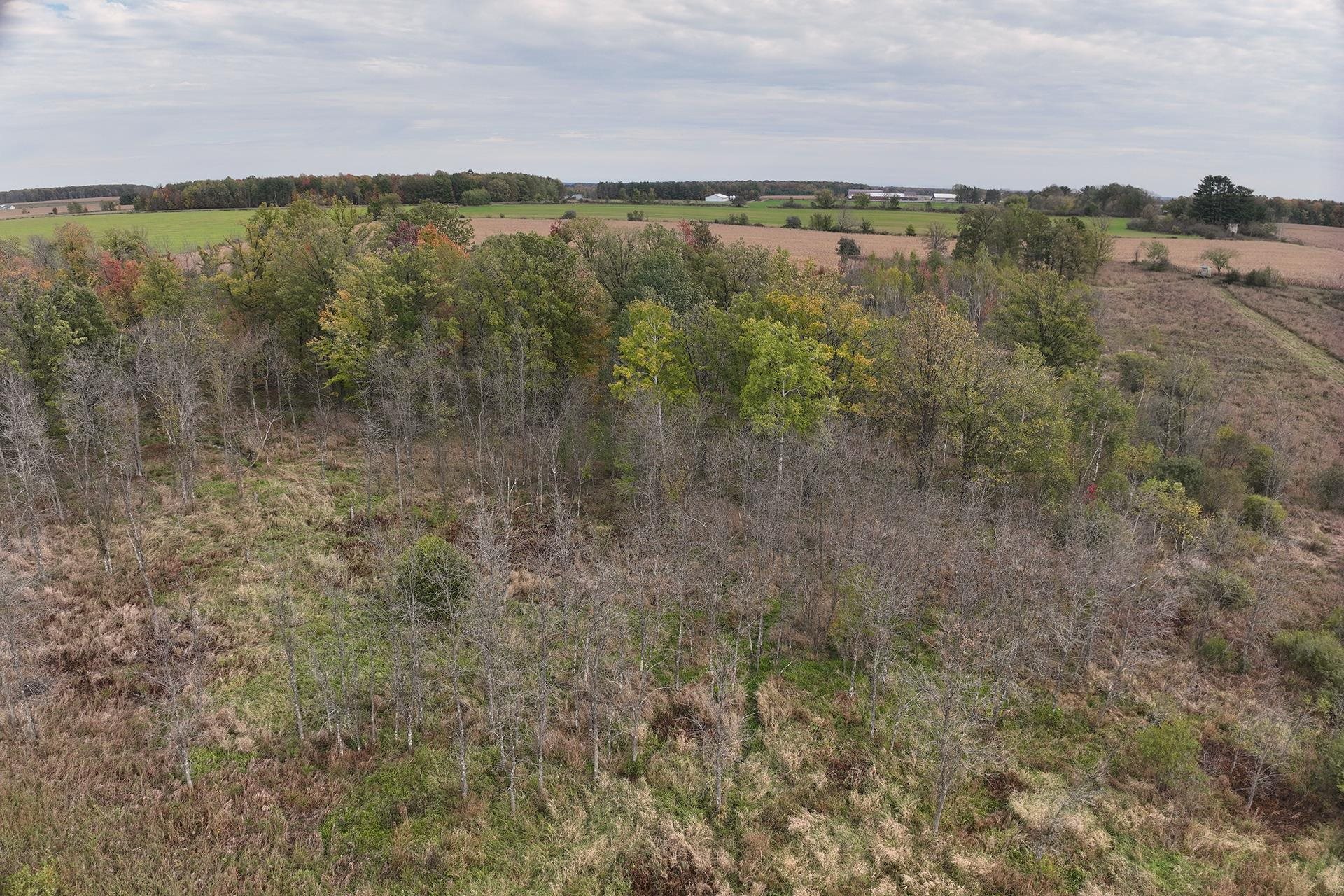 42.610 Acres County Road O Property Photo 12