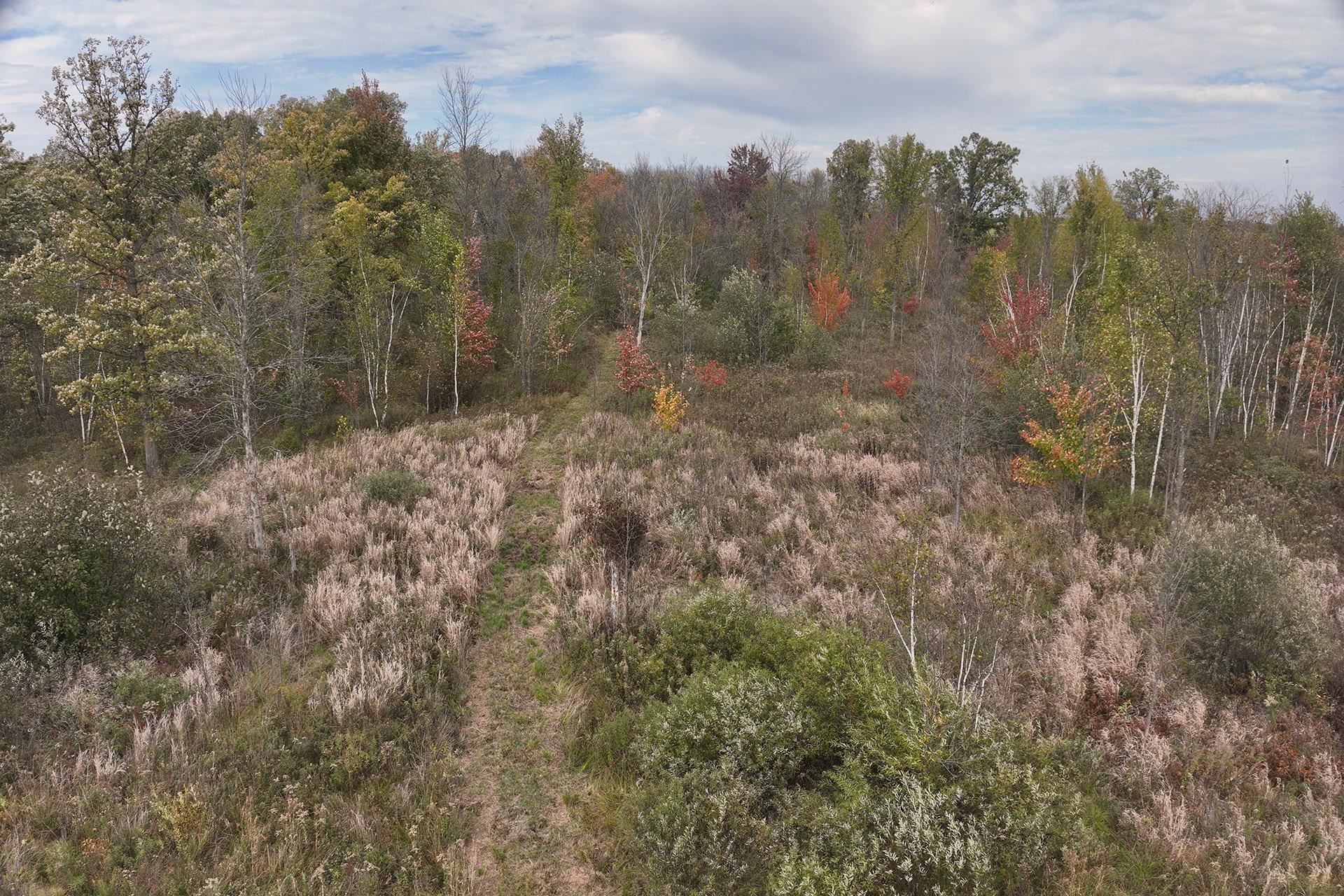 42.610 Acres County Road O Property Photo 15