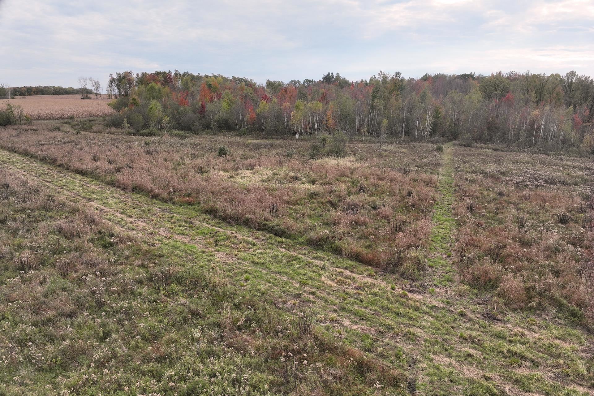 42.610 Acres County Road O Property Photo 16