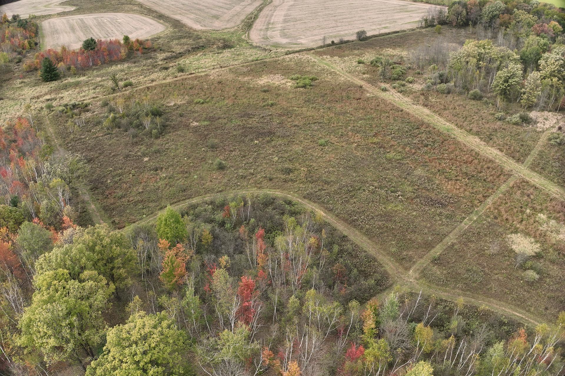 42.610 Acres County Road O Property Photo 19