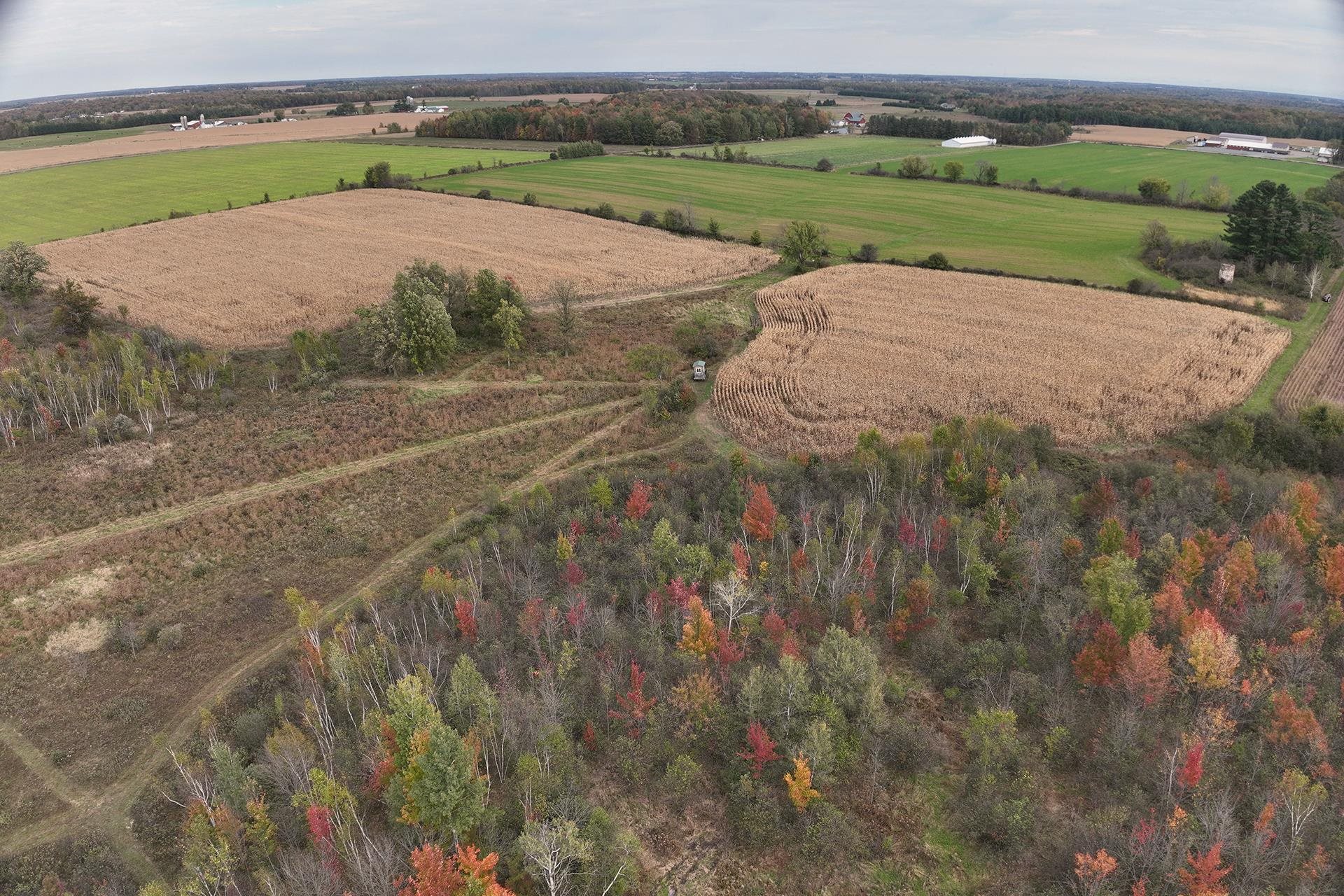 42.610 Acres County Road O Property Photo 20