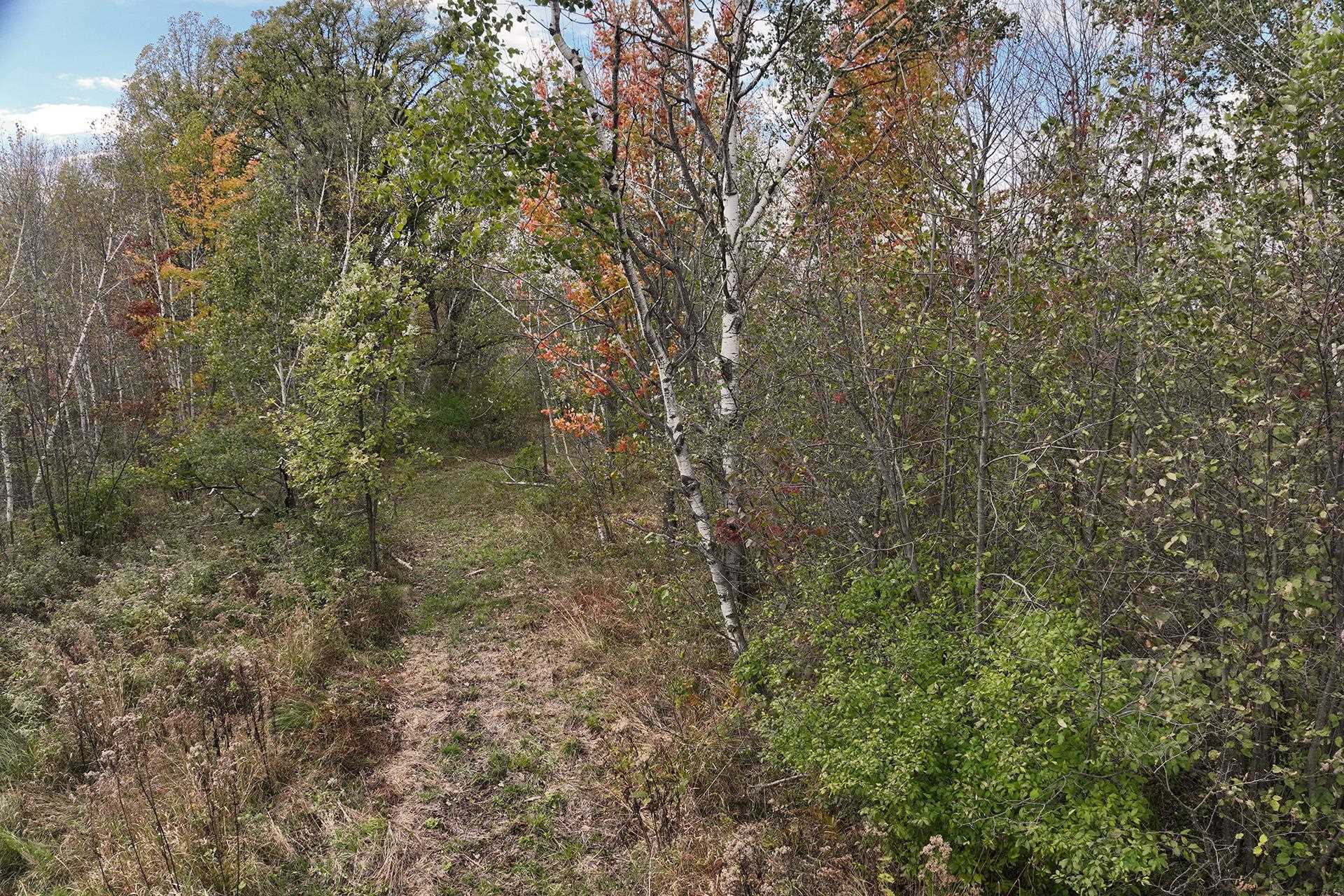 42.610 Acres County Road O Property Photo 21
