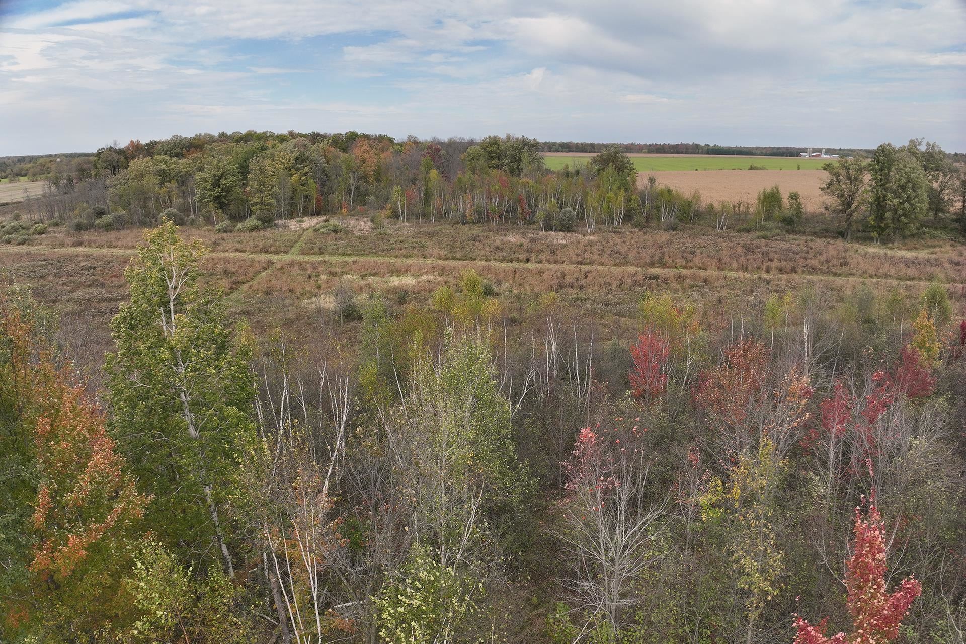 42.610 Acres County Road O Property Photo 22