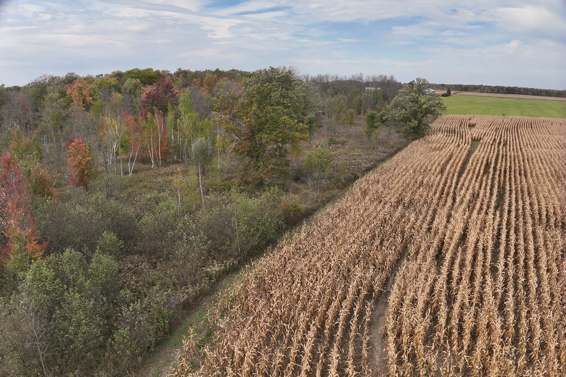 42.610 Acres County Road O Property Photo 24