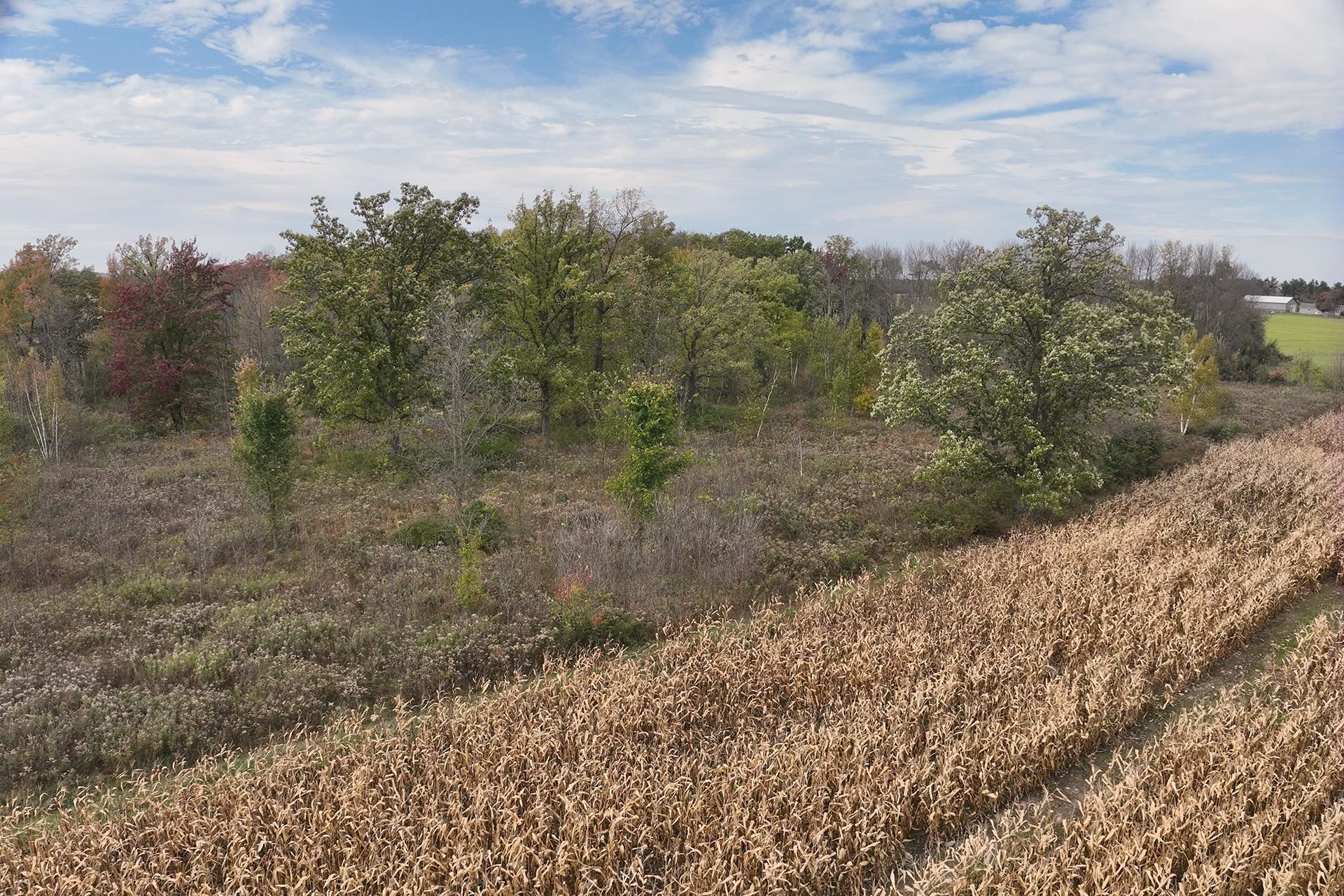 42.610 Acres County Road O Property Photo 25