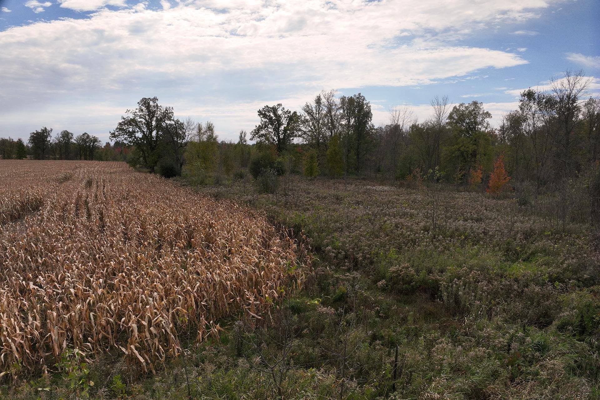 42.610 Acres County Road O Property Photo 26