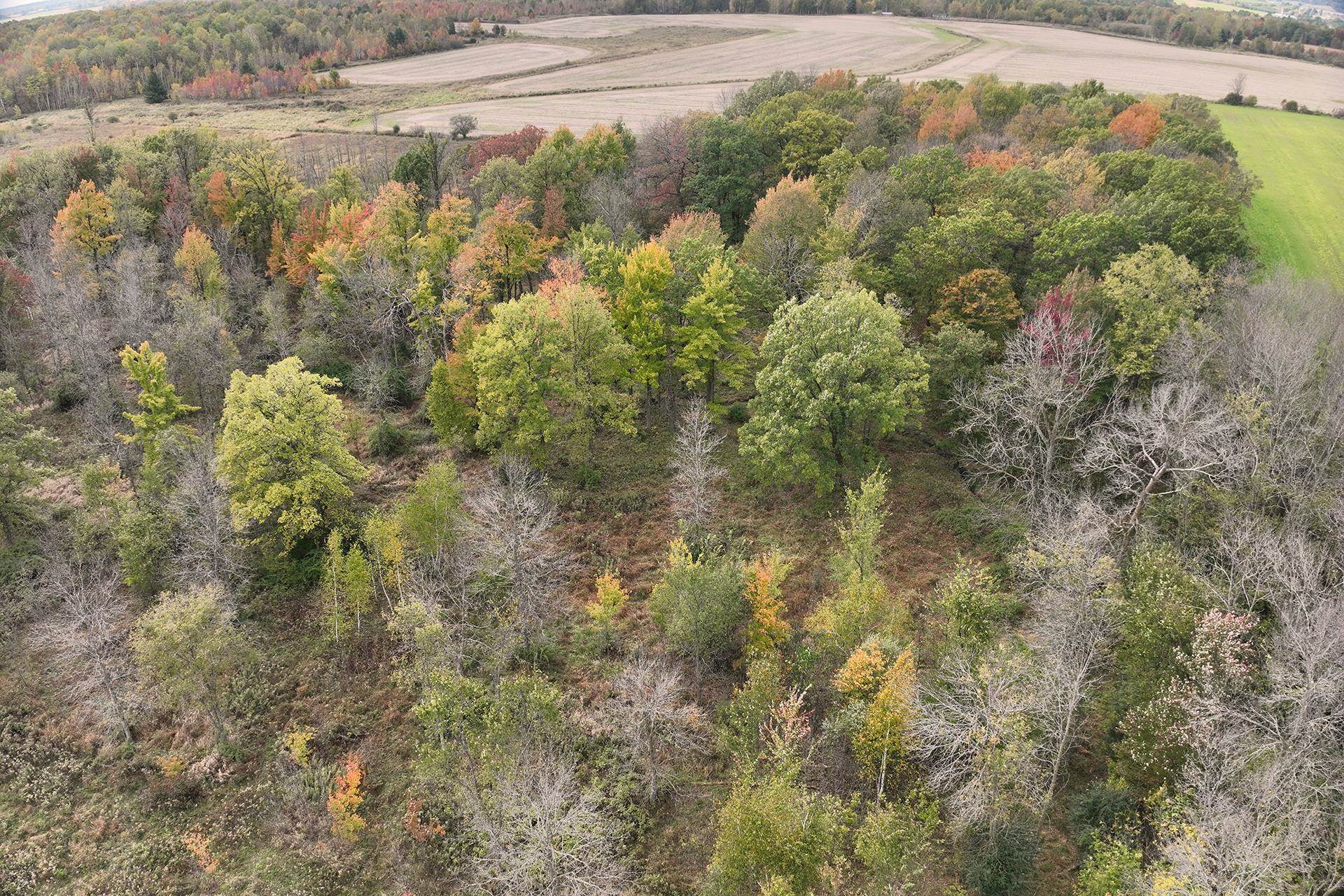 42.610 Acres County Road O Property Photo 27