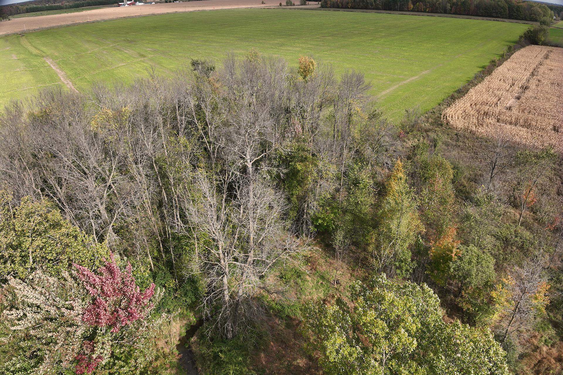 42.610 Acres County Road O Property Photo 28