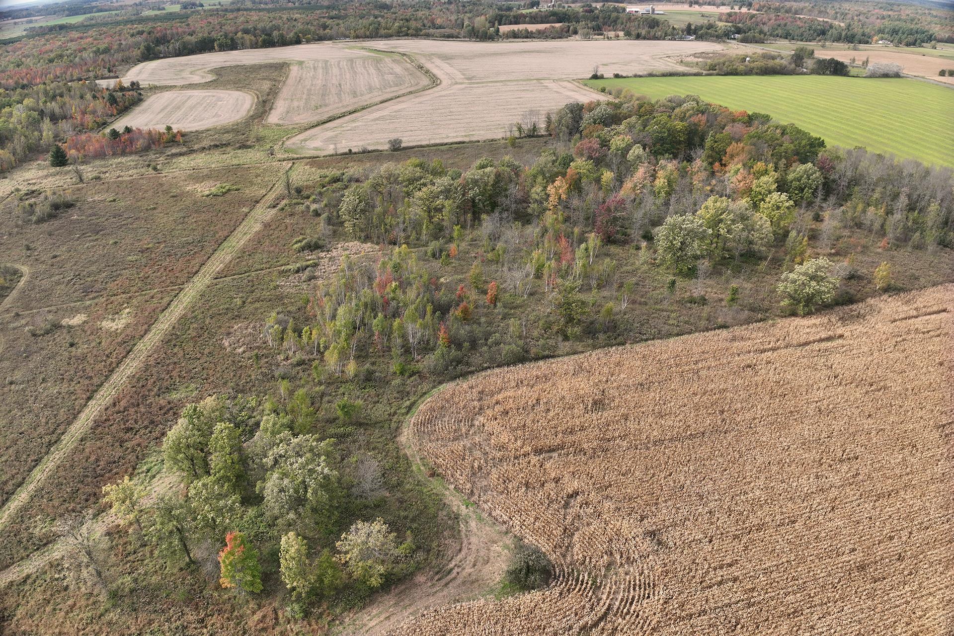 42.610 Acres County Road O Property Photo 34