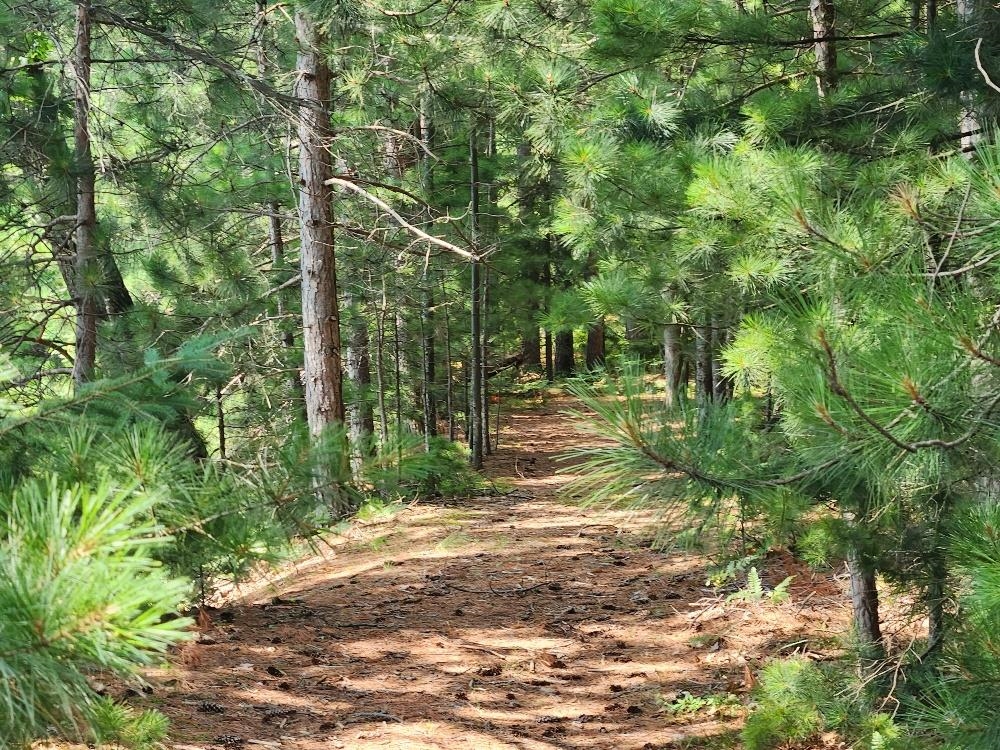 On Dr Kate Trail Property Photo 4