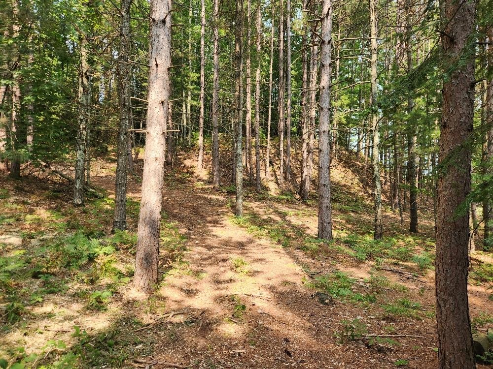On Dr Kate Trail Property Photo 16