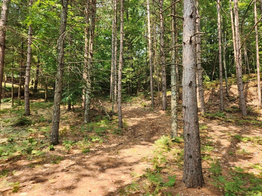 On Dr Kate Trail Property Photo 17