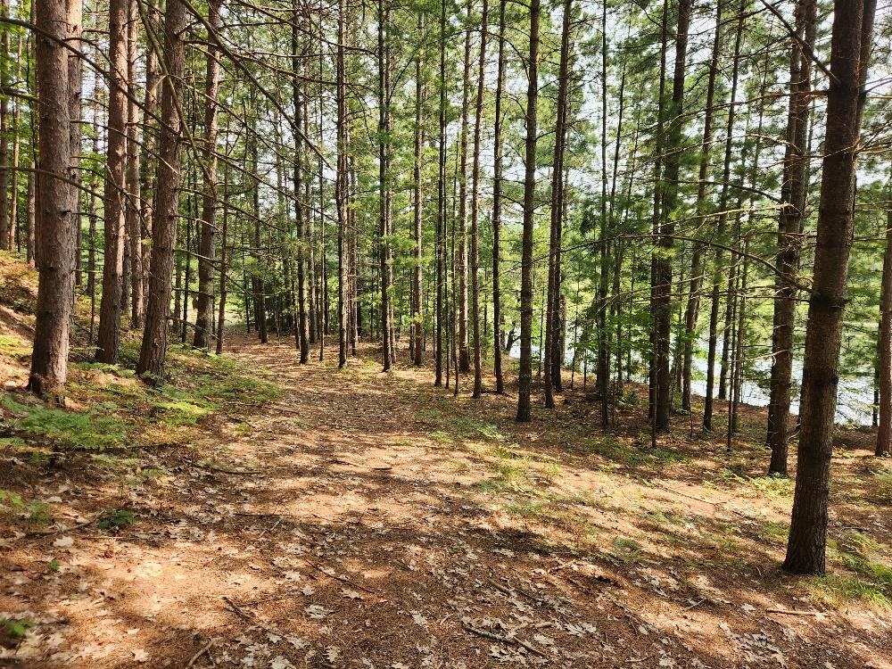 On Dr Kate Trail Property Photo 19