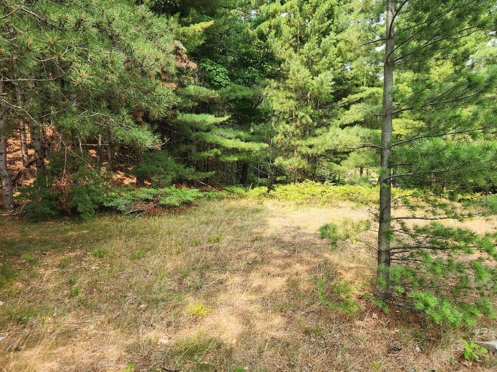 On Dr Kate Trail Property Photo 20