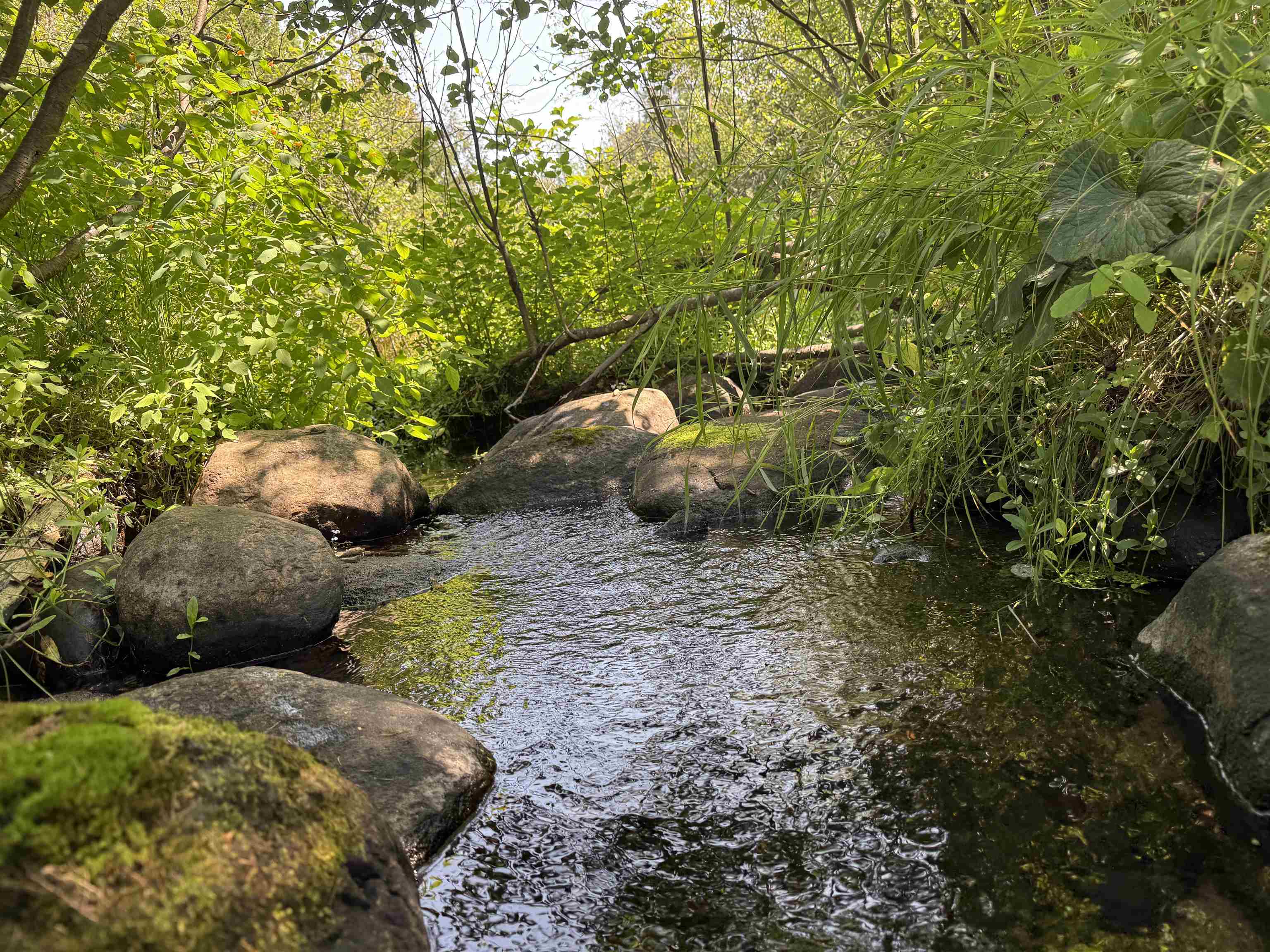 N11301 Lagoon Lane Property Photo 2