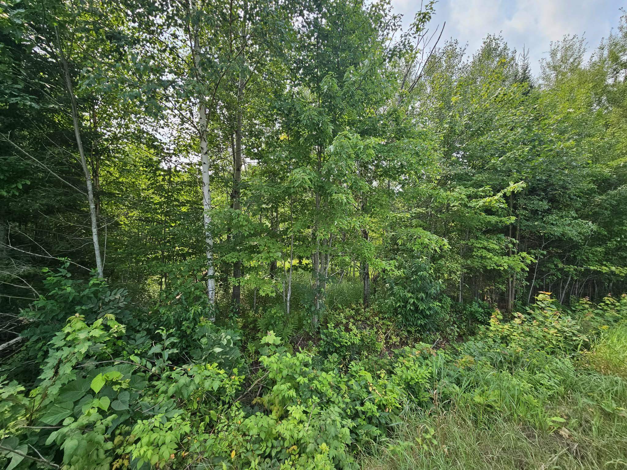 W1447 Spur Road Property Photo 15