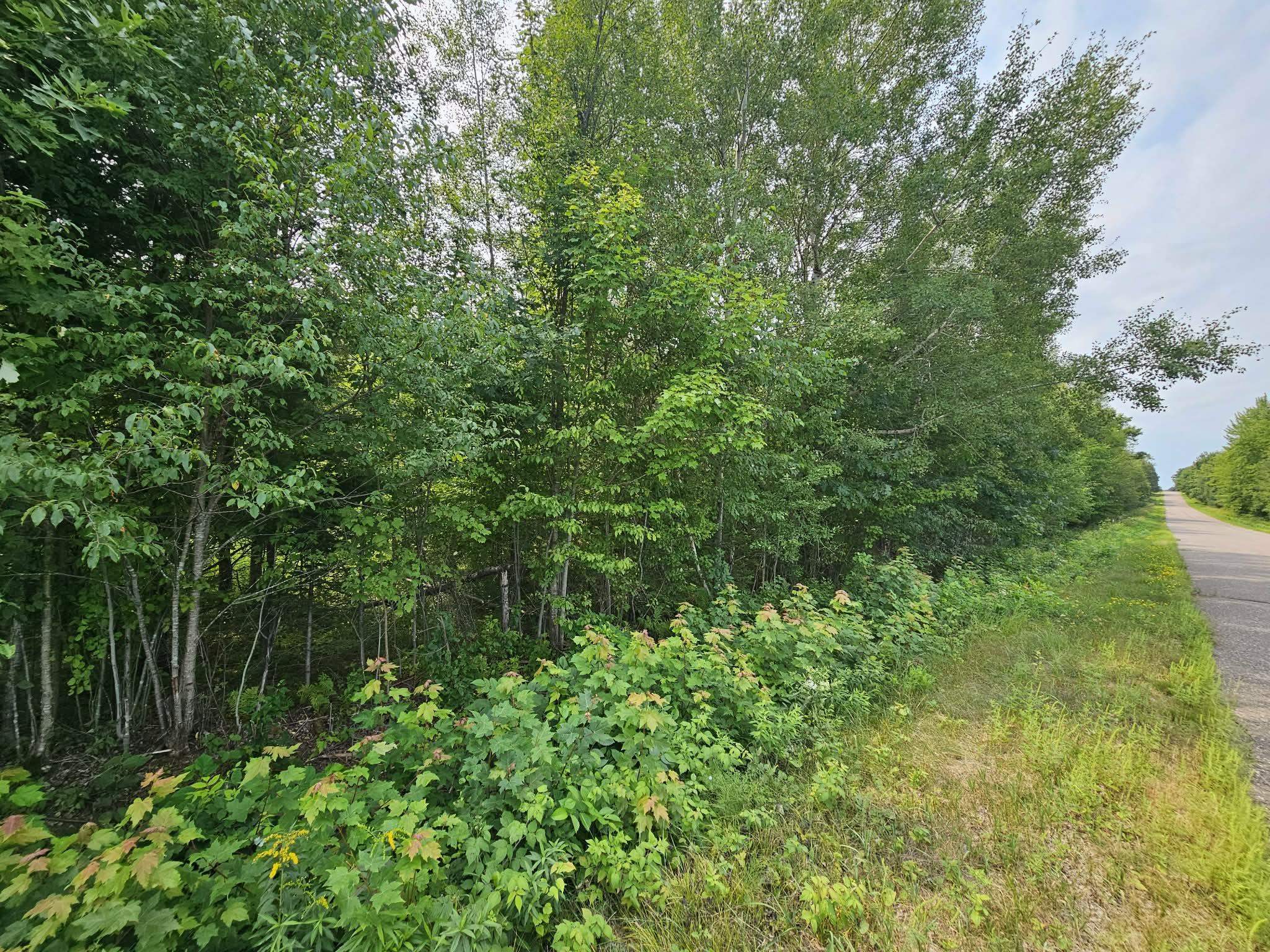 W1447 Spur Road Property Photo 16