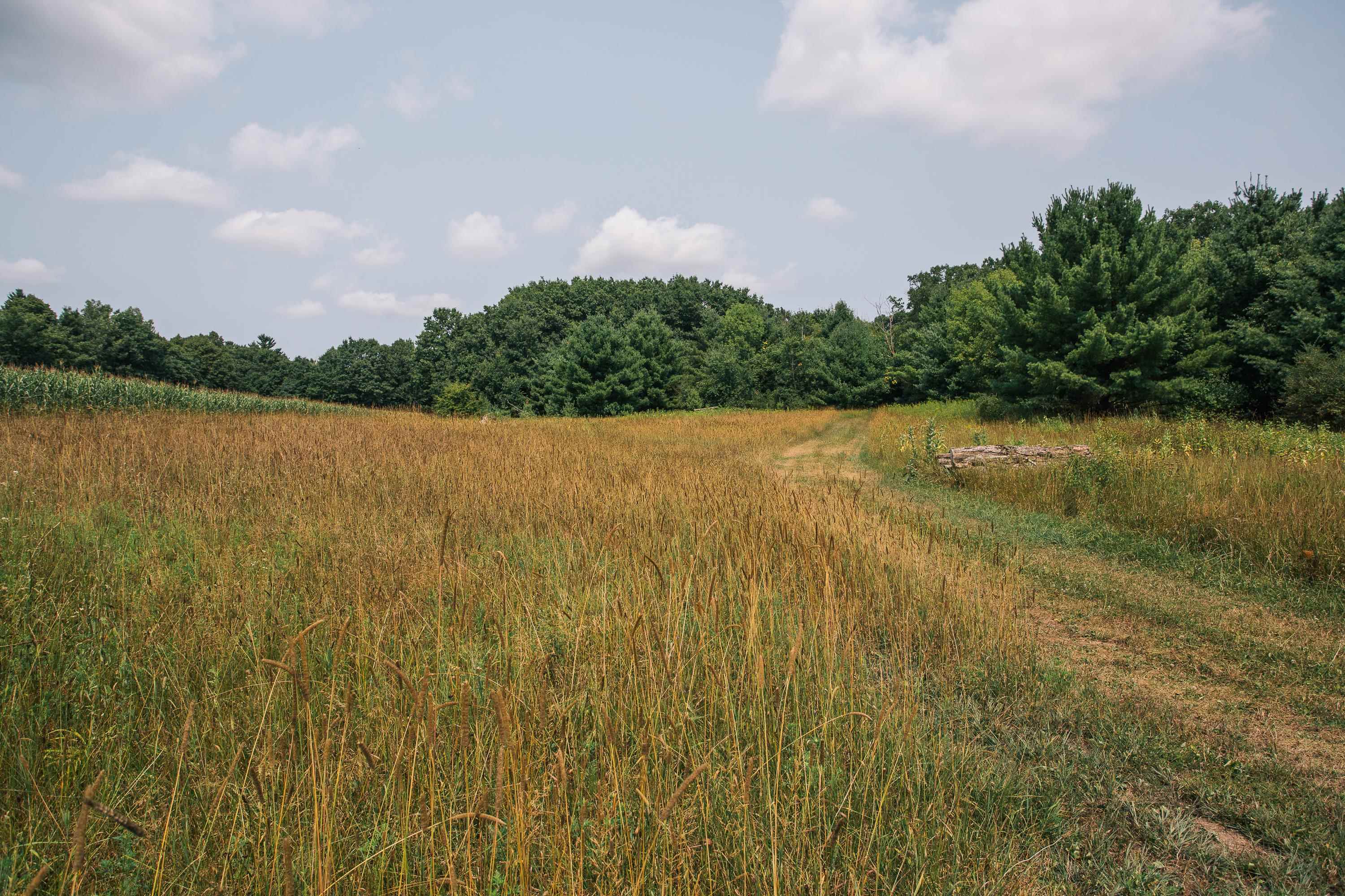 W6368 Maple Road Property Photo 12