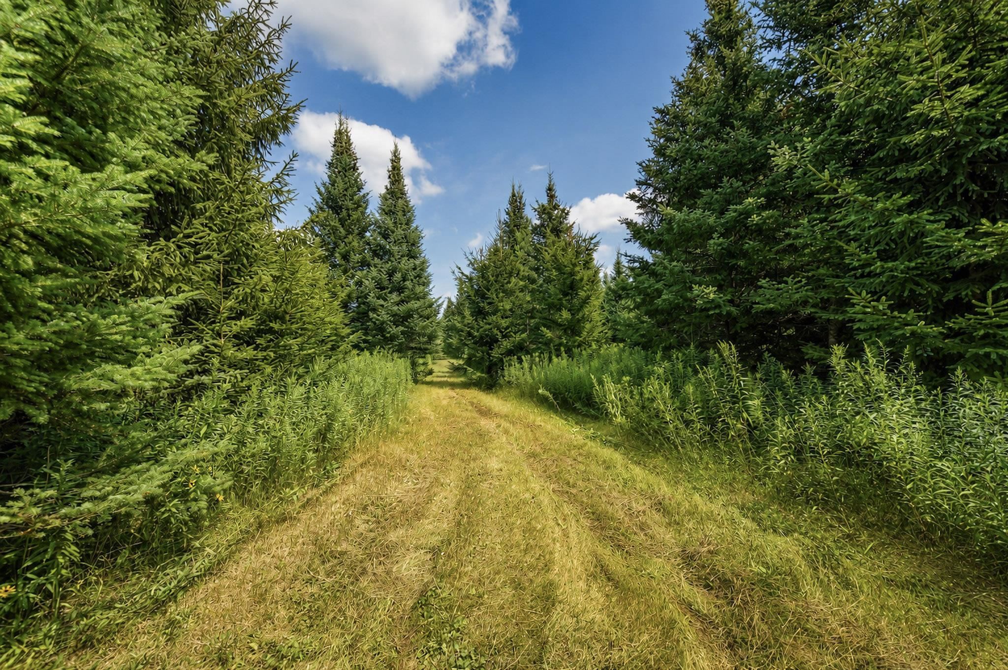 00 State Highway 17 Property Photo 2