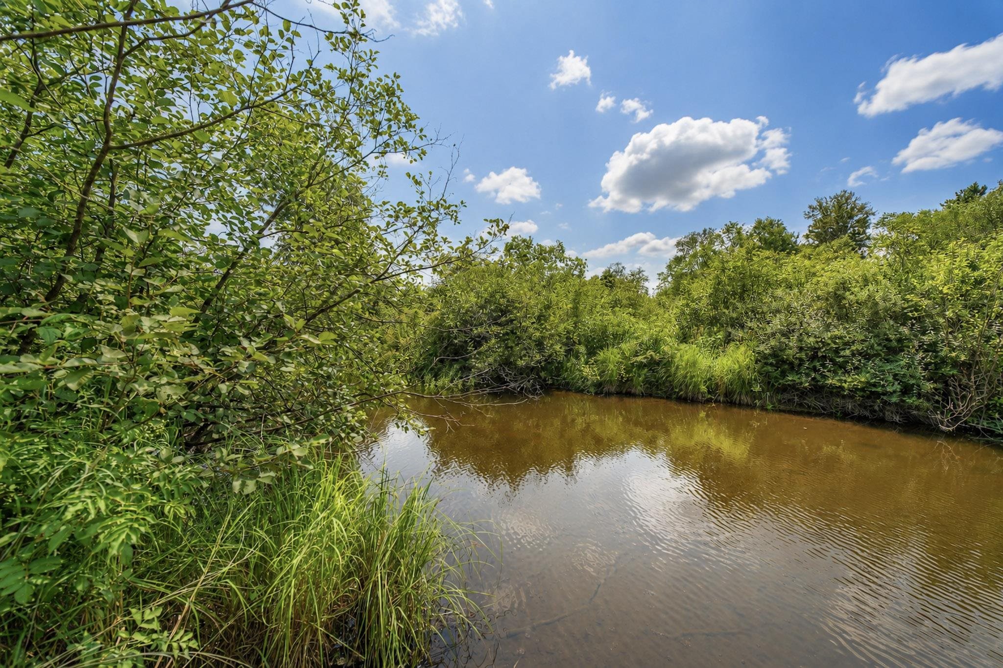 00 State Highway 17 Property Photo 4