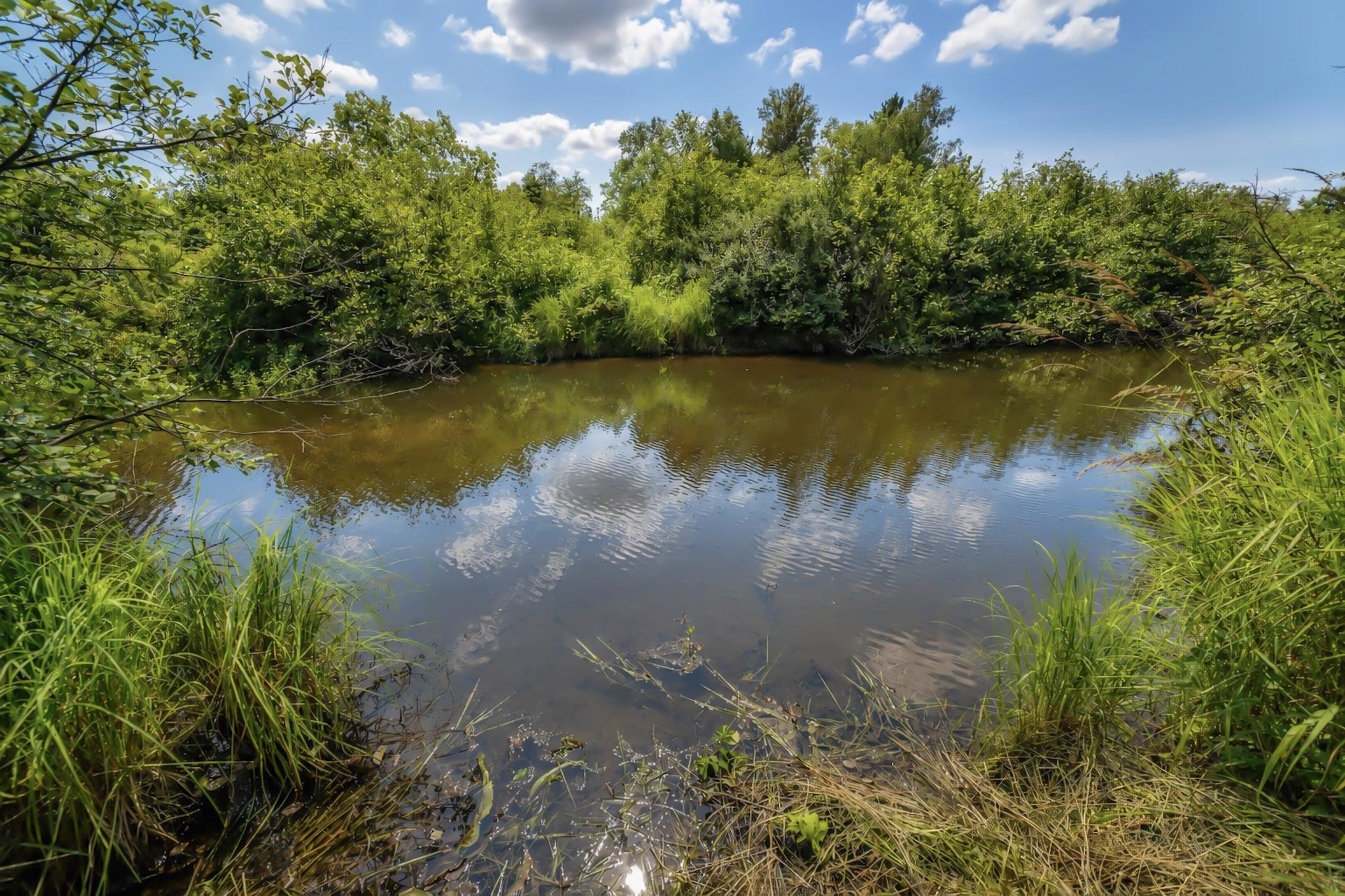 00 State Highway 17 Property Photo 5