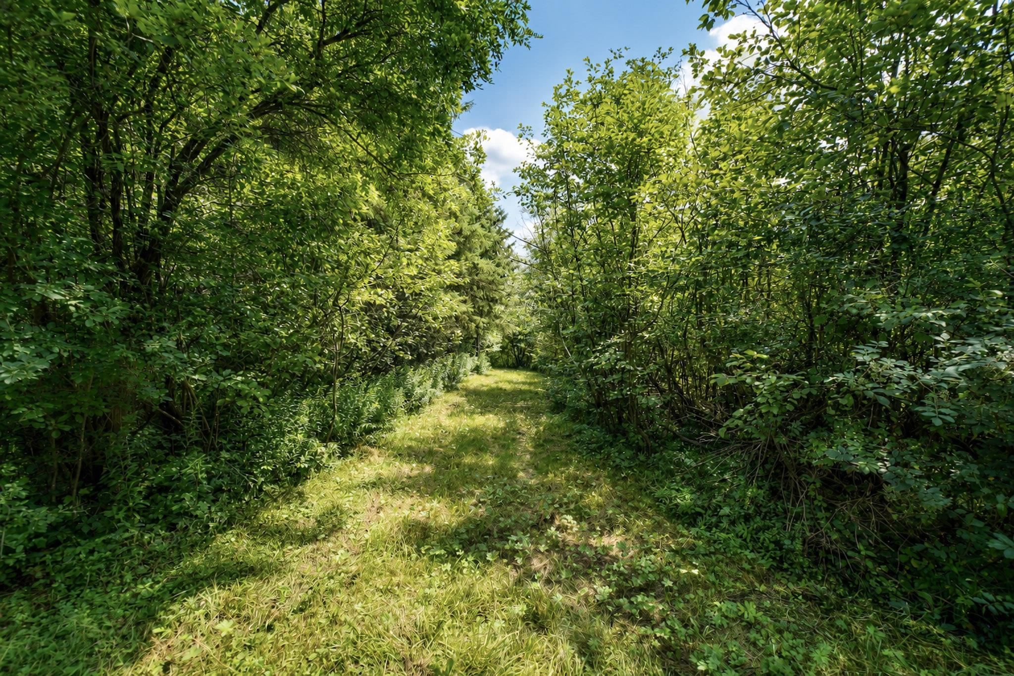 00 State Highway 17 Property Photo 6