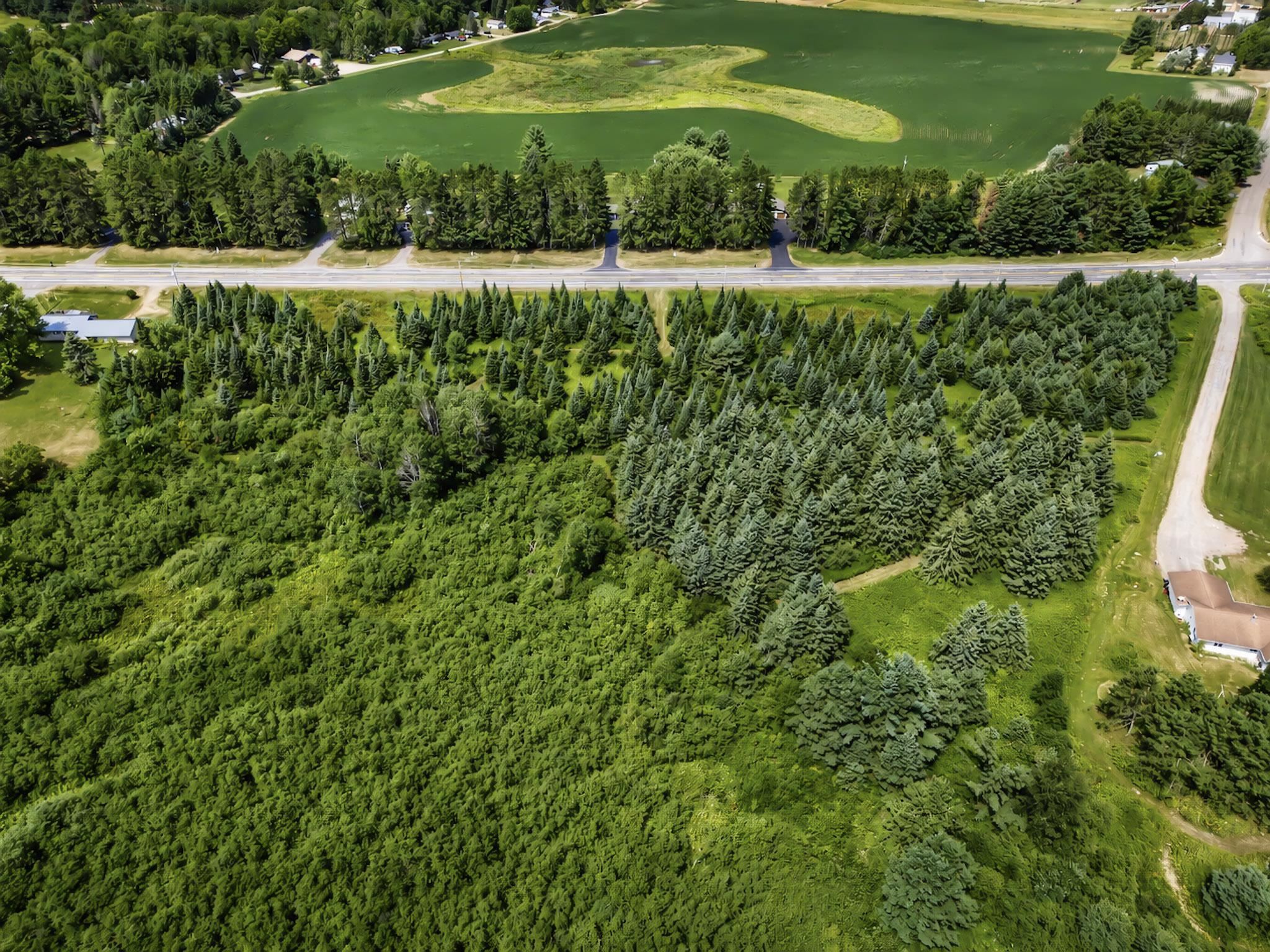 00 State Highway 17 Property Photo 7