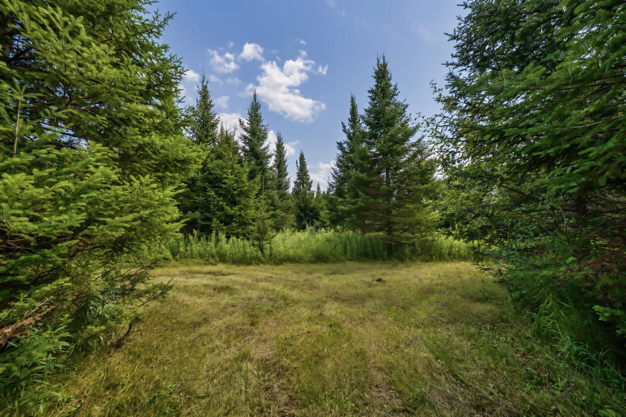 00 State Highway 17 Property Photo 11