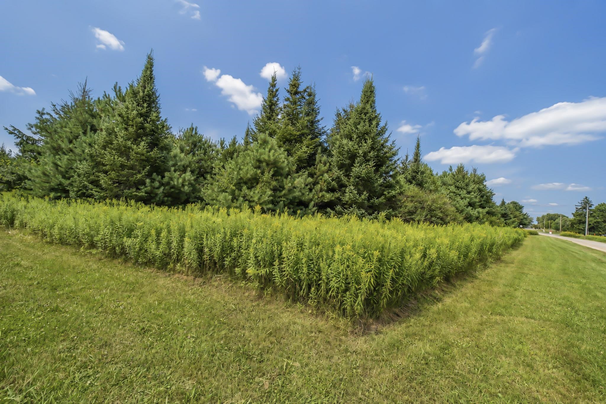 00 State Highway 17 Property Photo 12