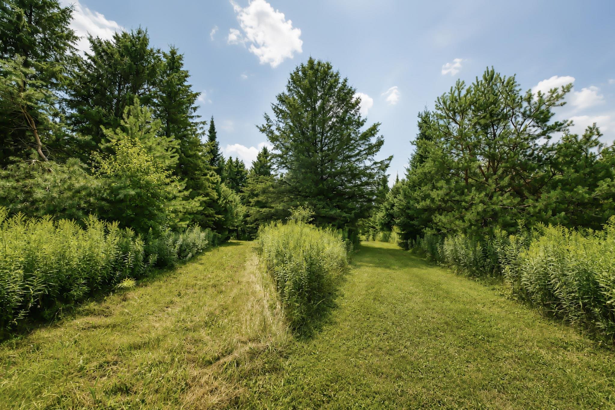 00 State Highway 17 Property Photo 13