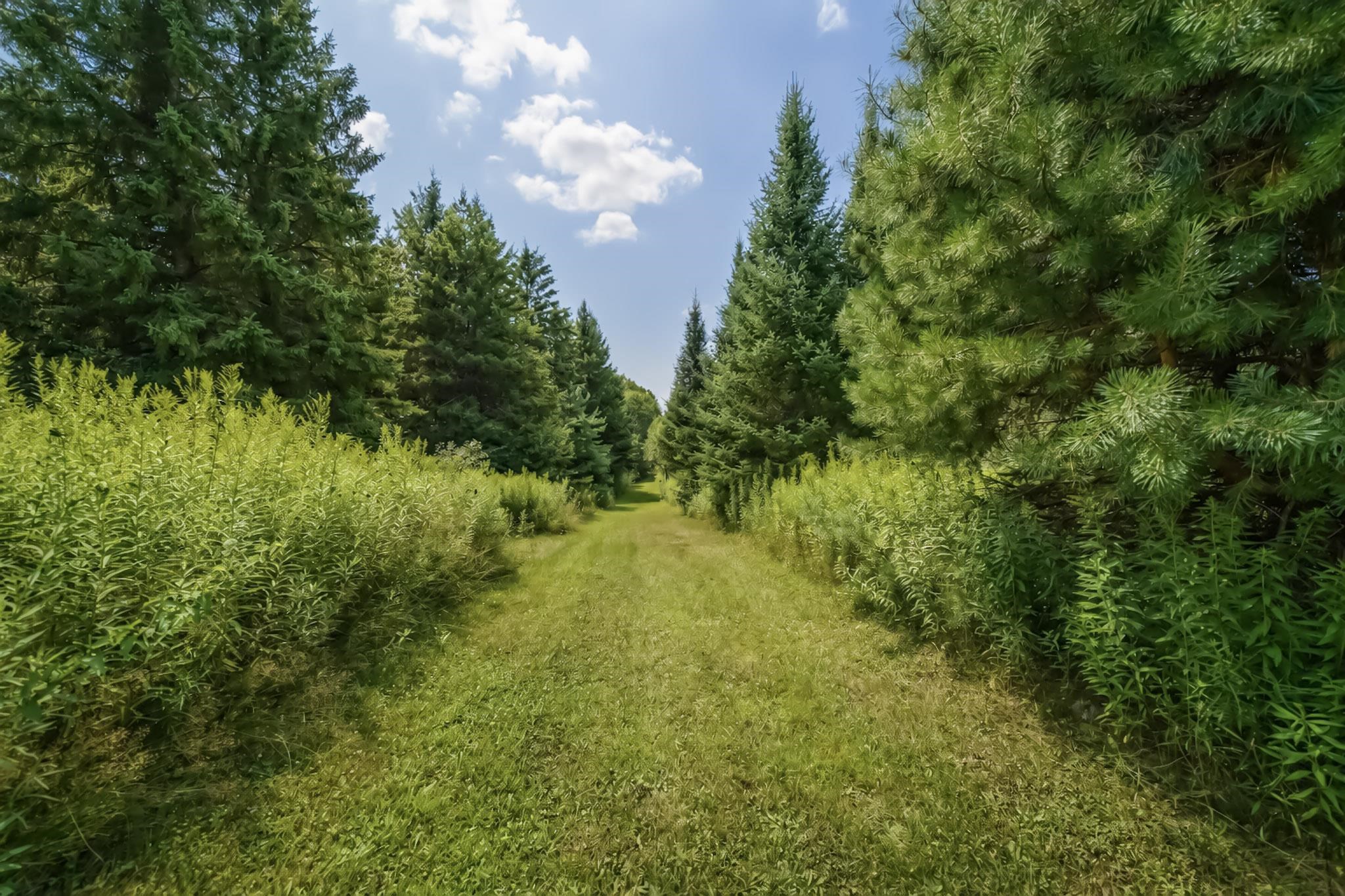 00 State Highway 17 Property Photo 14