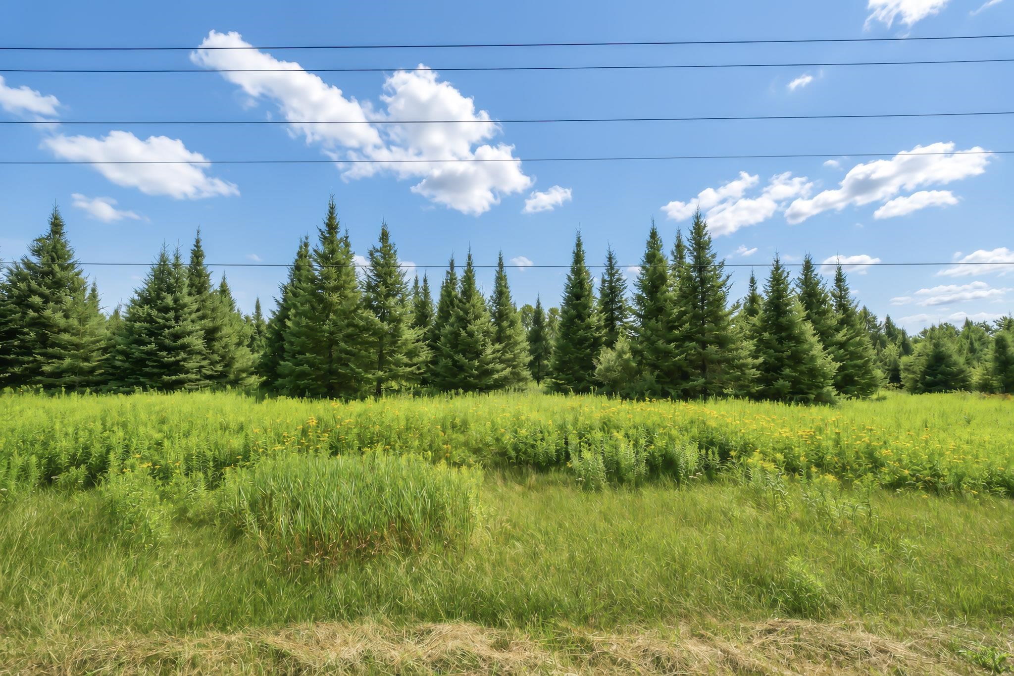 00 State Highway 17 Property Photo 18