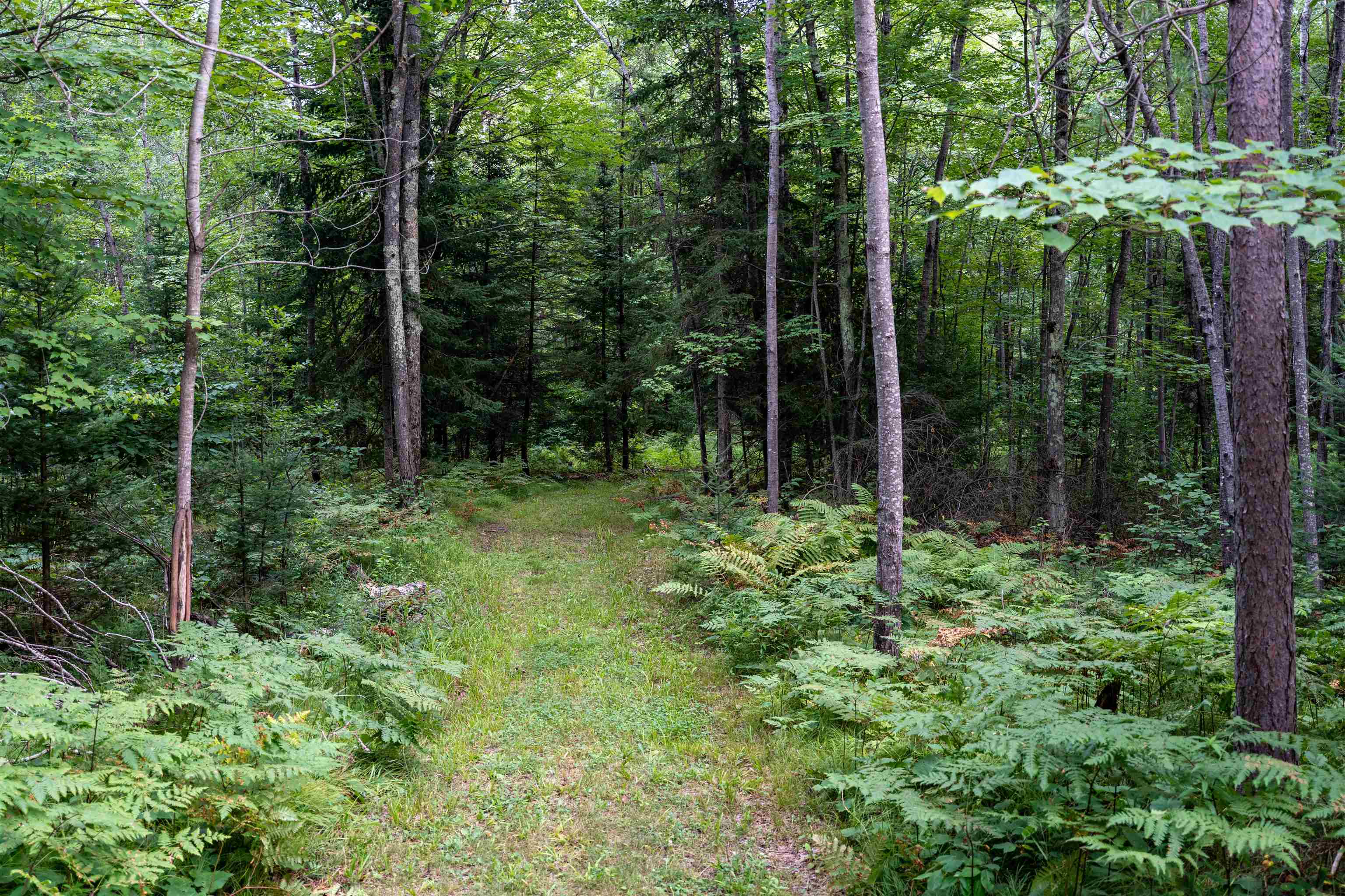 W8605 Cranberry Trail Property Photo 10