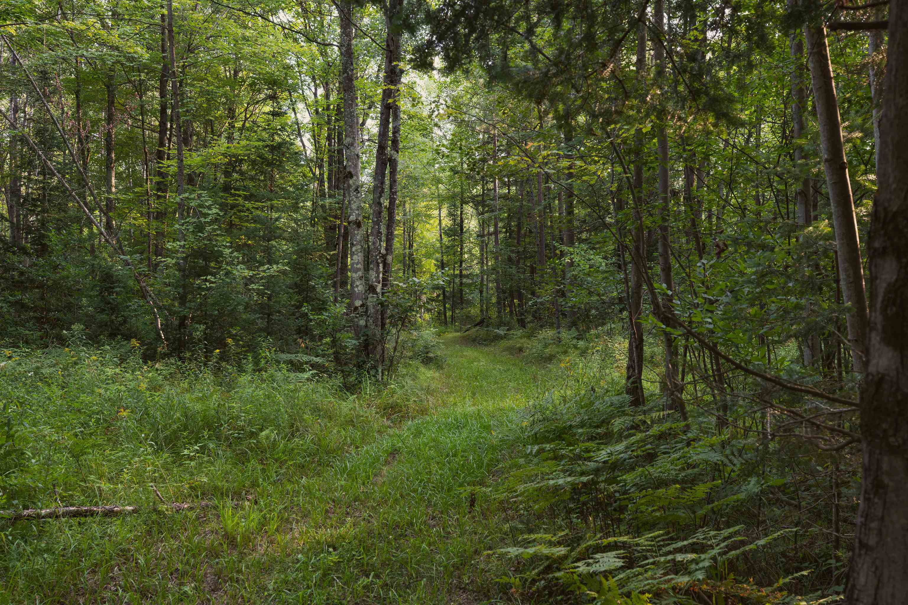 W8605 Cranberry Trail Property Photo 11