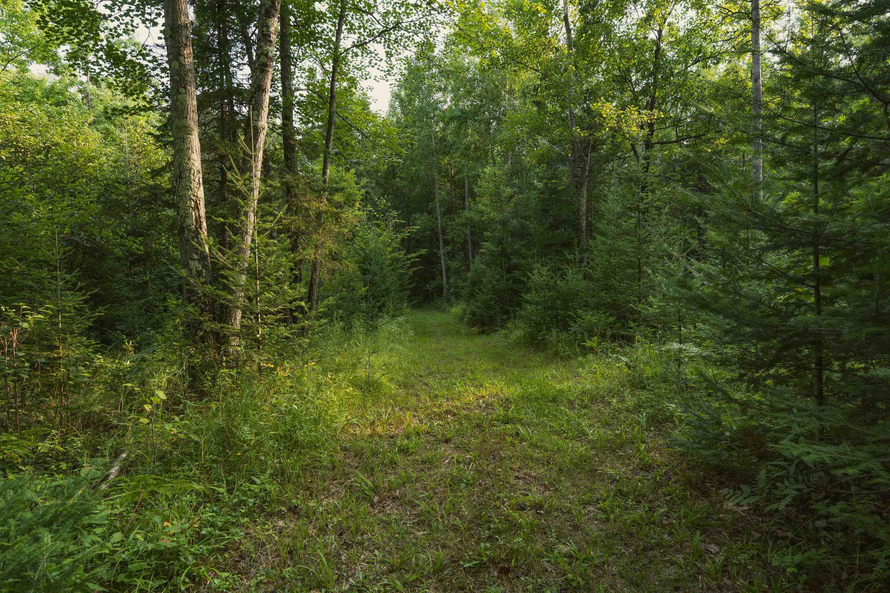 W8605 Cranberry Trail Property Photo 12
