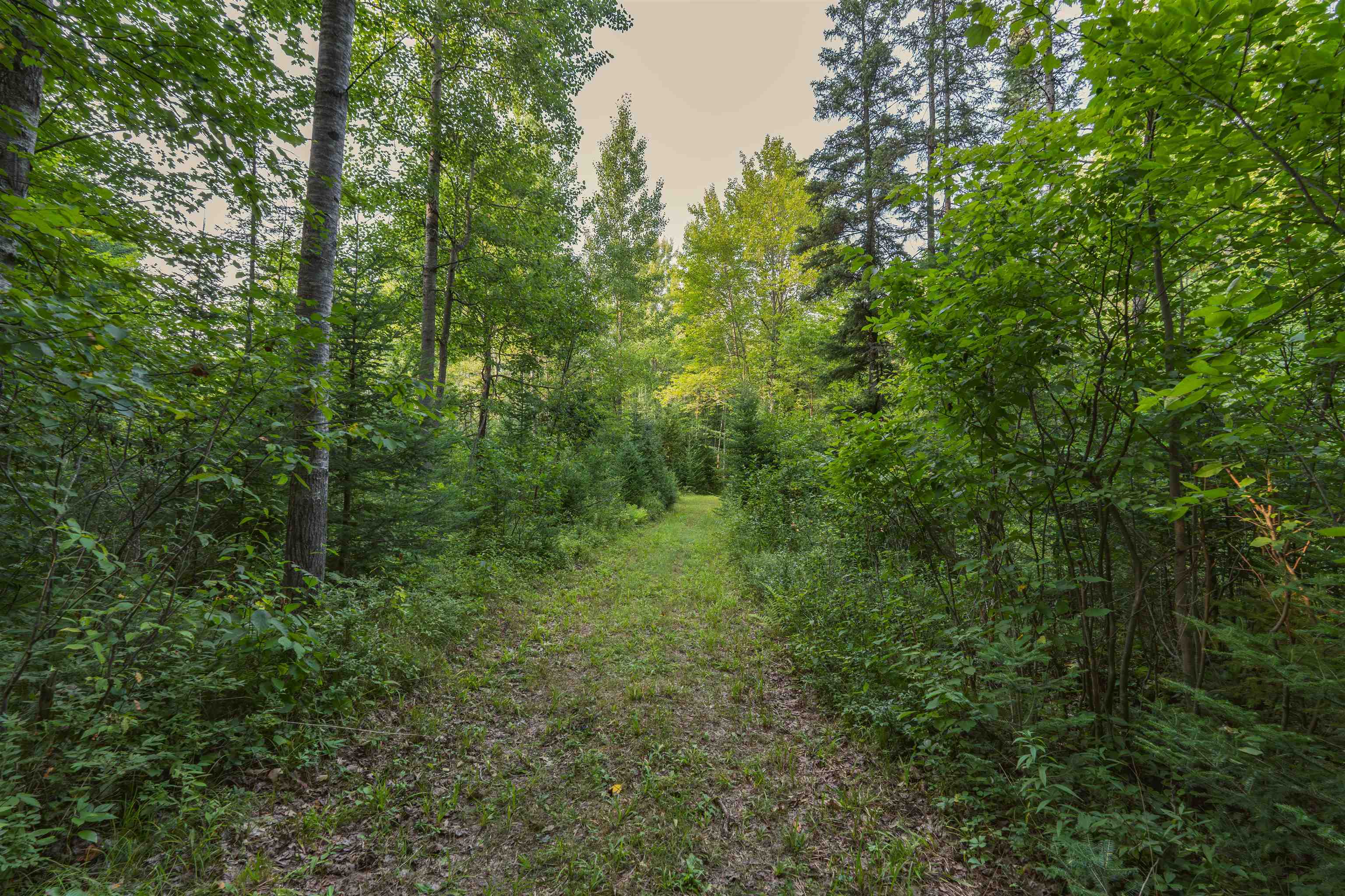 W8605 Cranberry Trail Property Photo 13