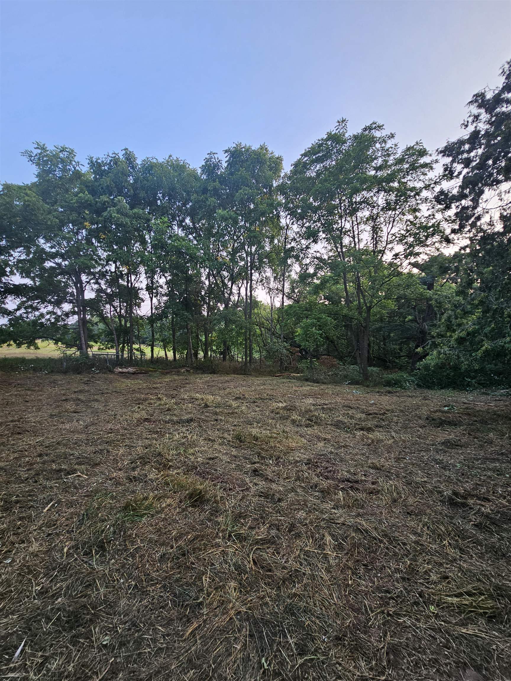 6539 County Road N Property Photo 5