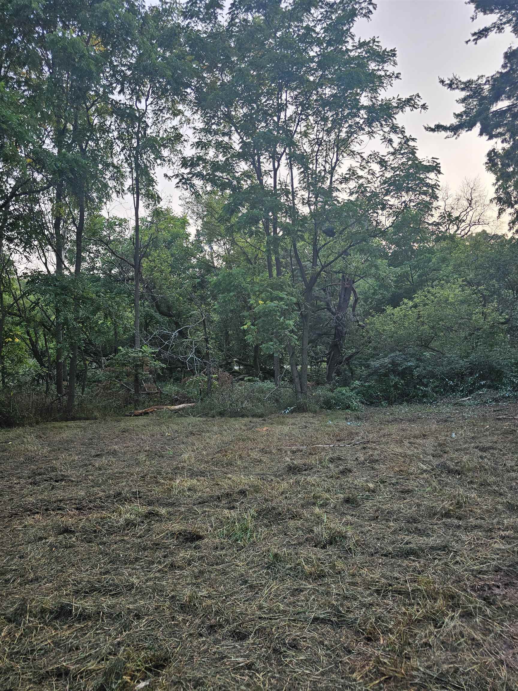6539 County Road N Property Photo 6