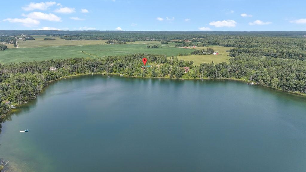 10041 Pine Tree Trail Property Photo 48