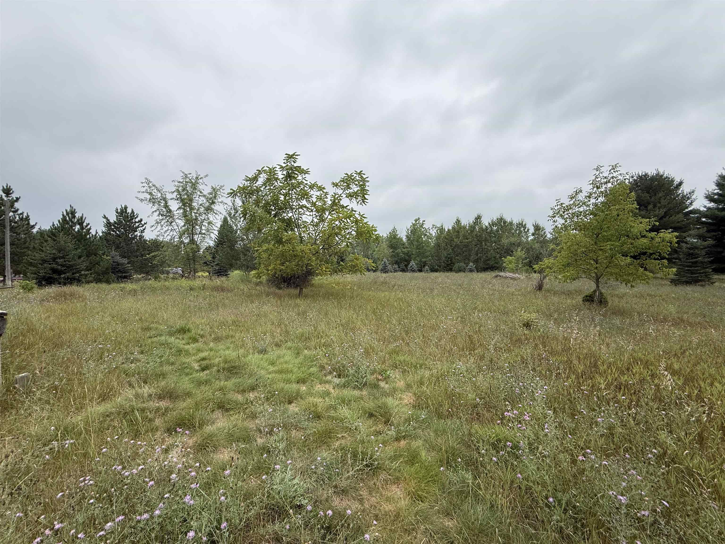 8846 County Road N Property Photo 9