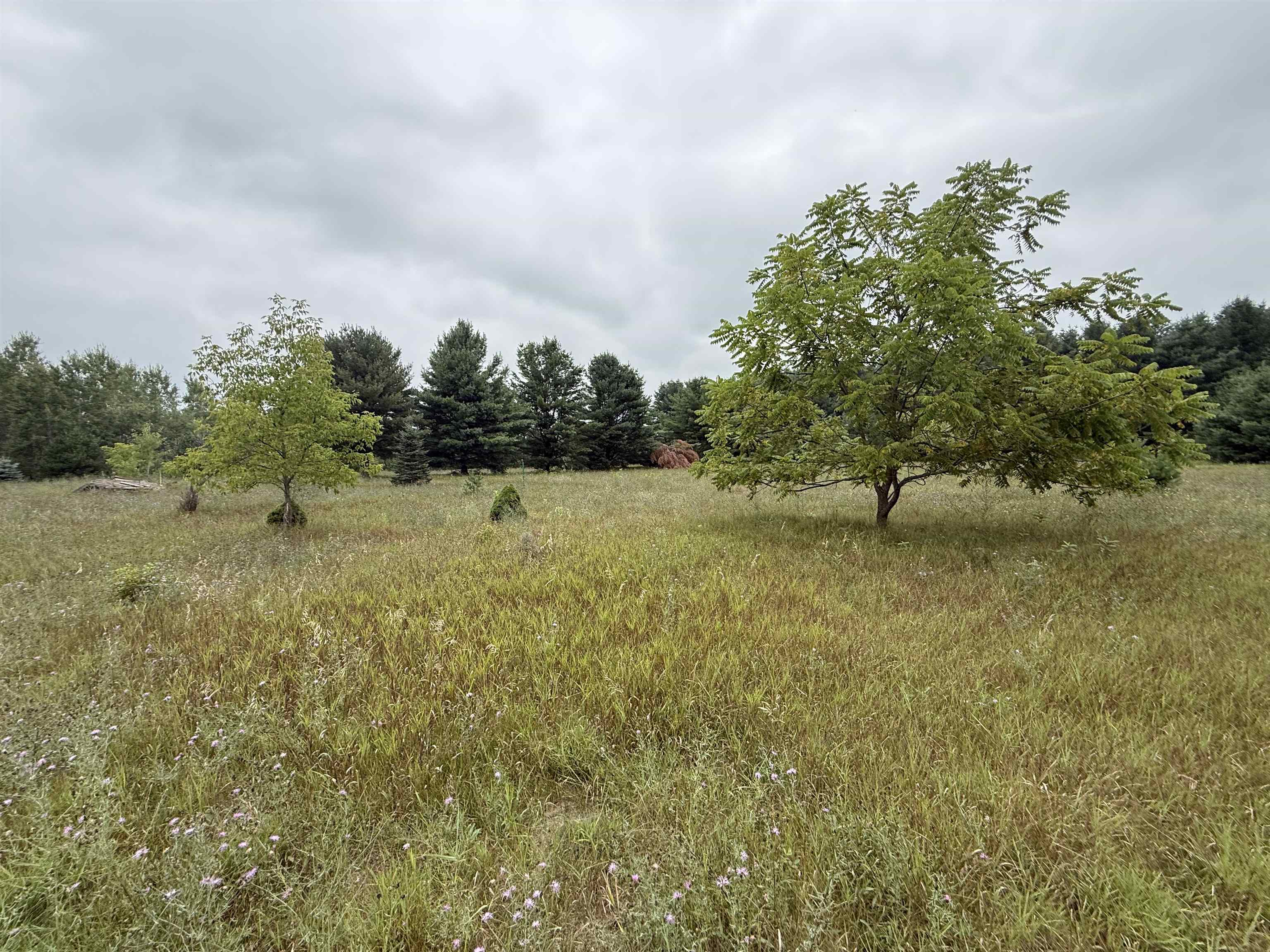8846 County Road N Property Photo 10