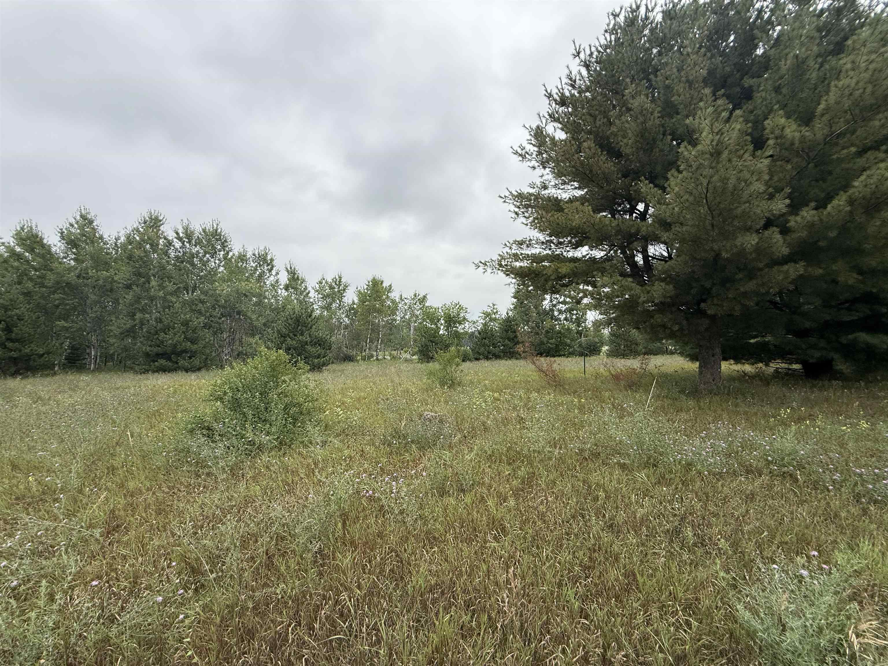 8846 County Road N Property Photo 15