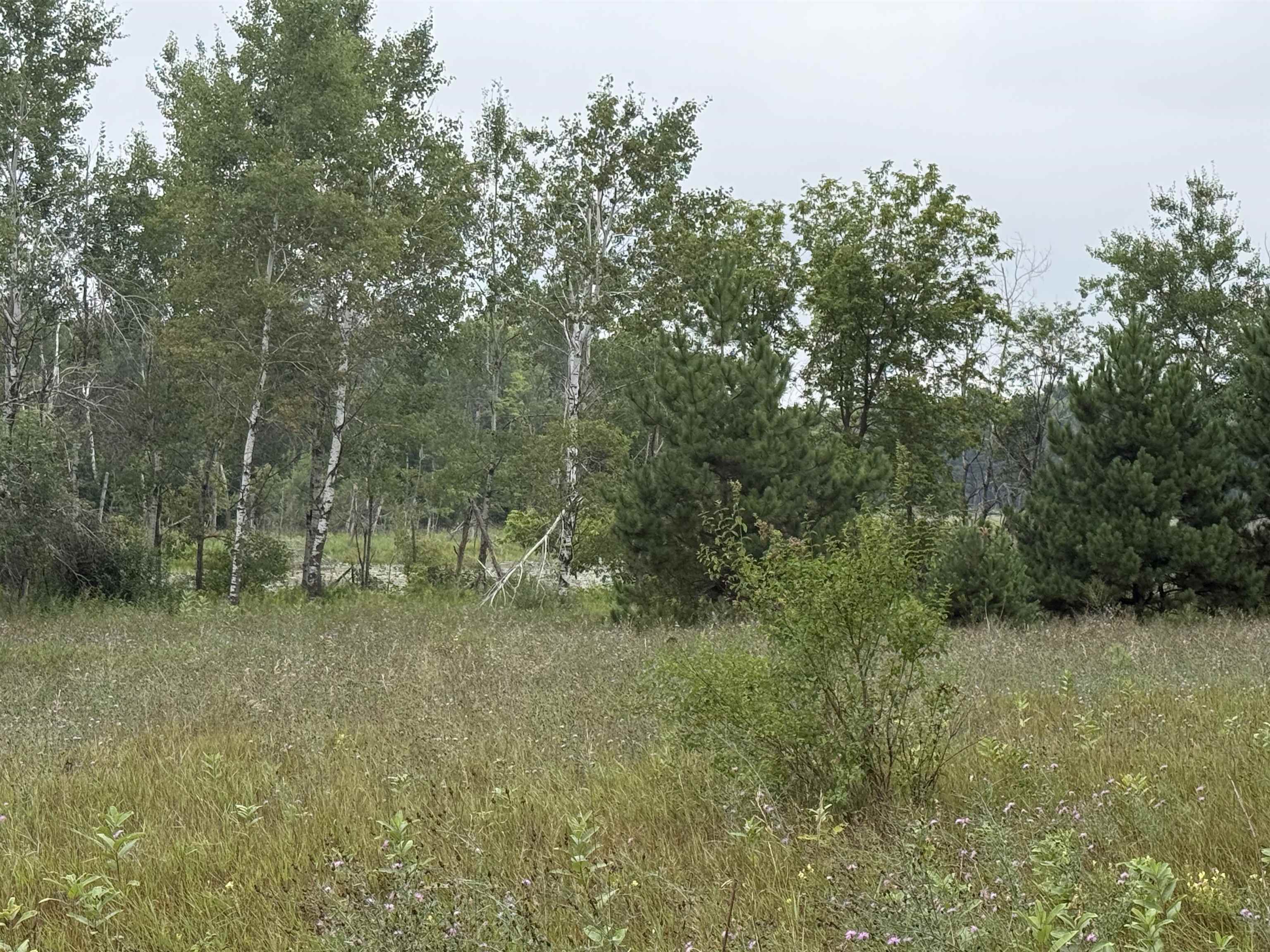 8846 County Road N Property Photo 16