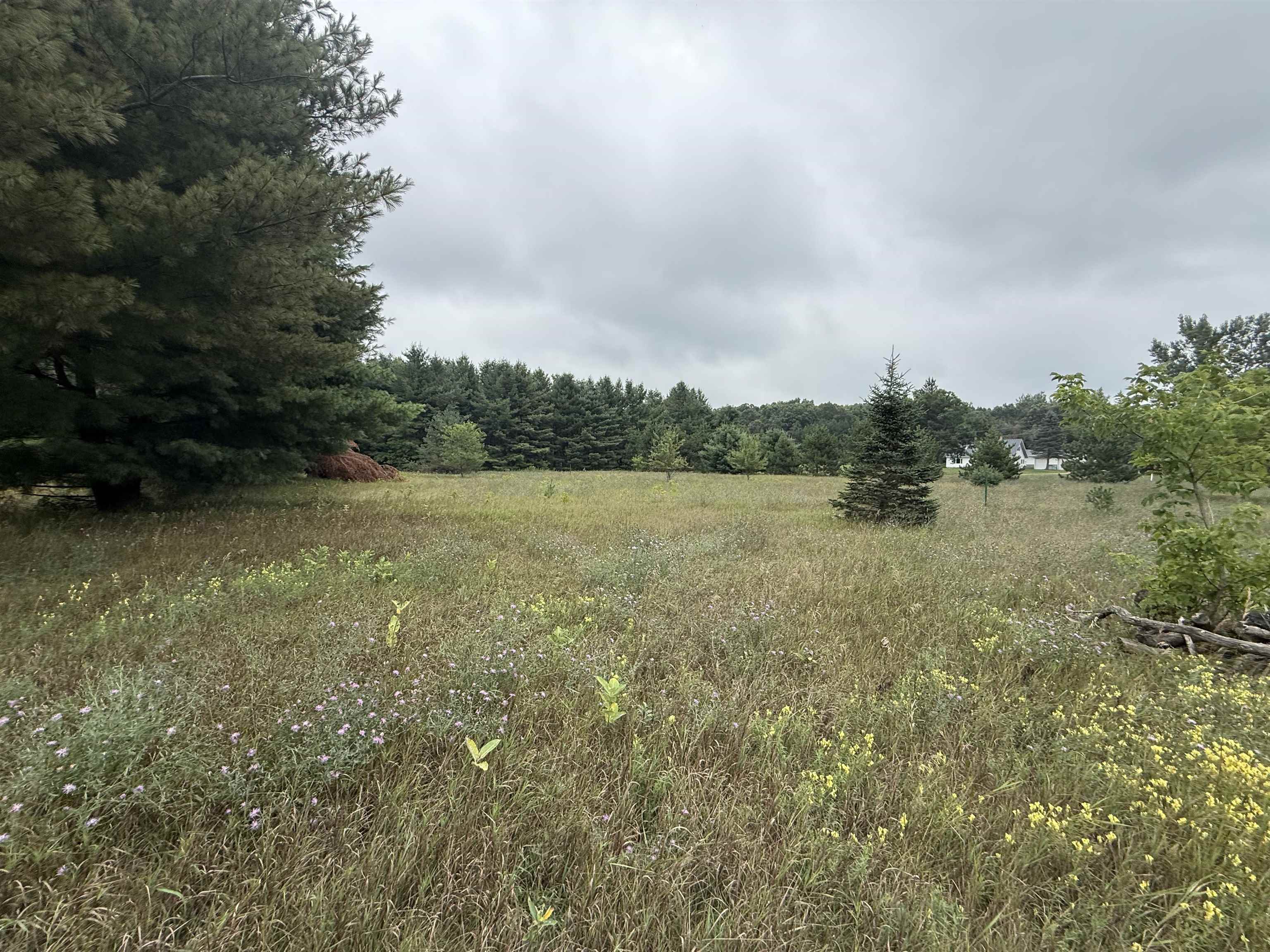 8846 County Road N Property Photo 17