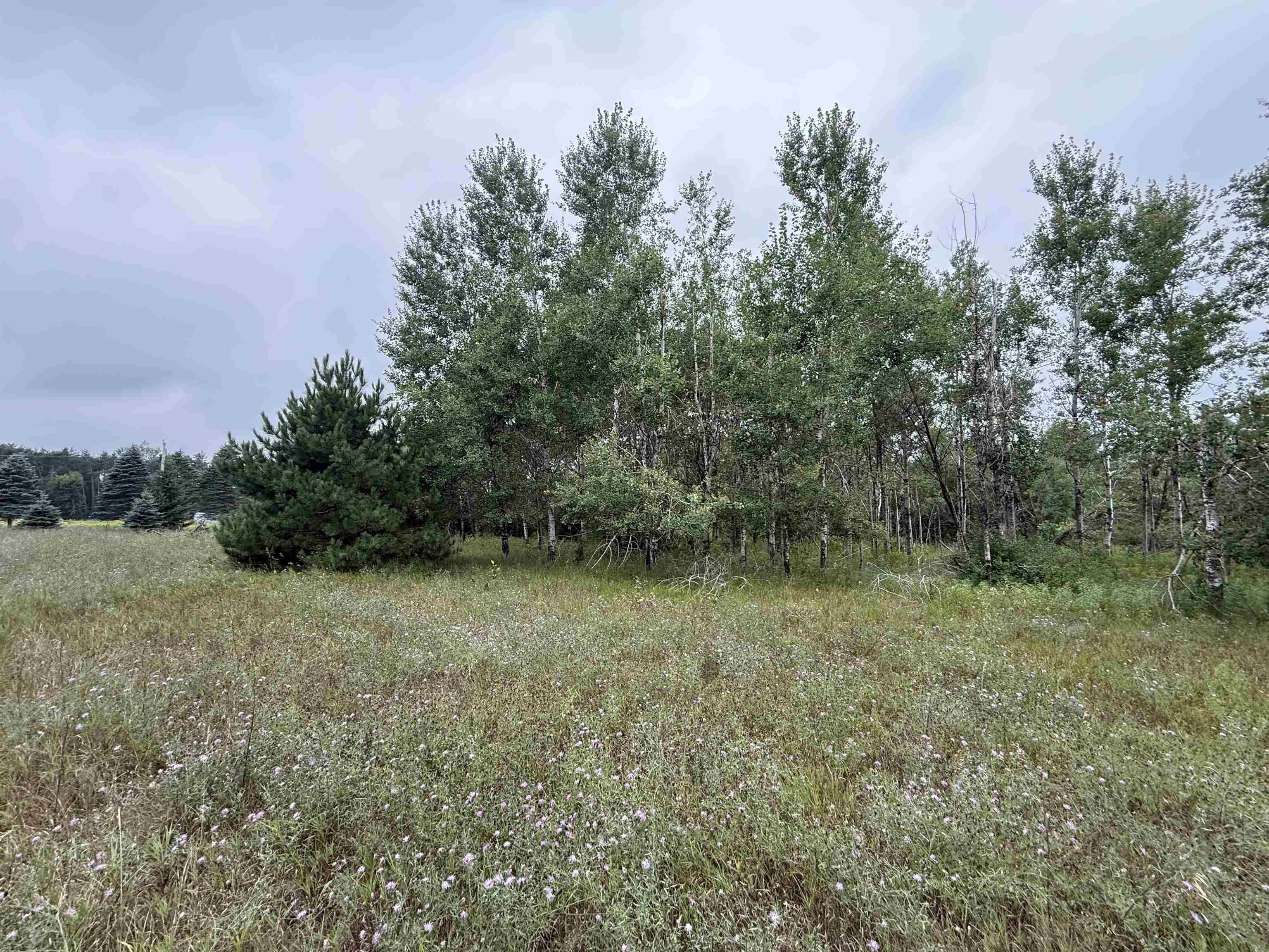 8846 County Road N Property Photo 23