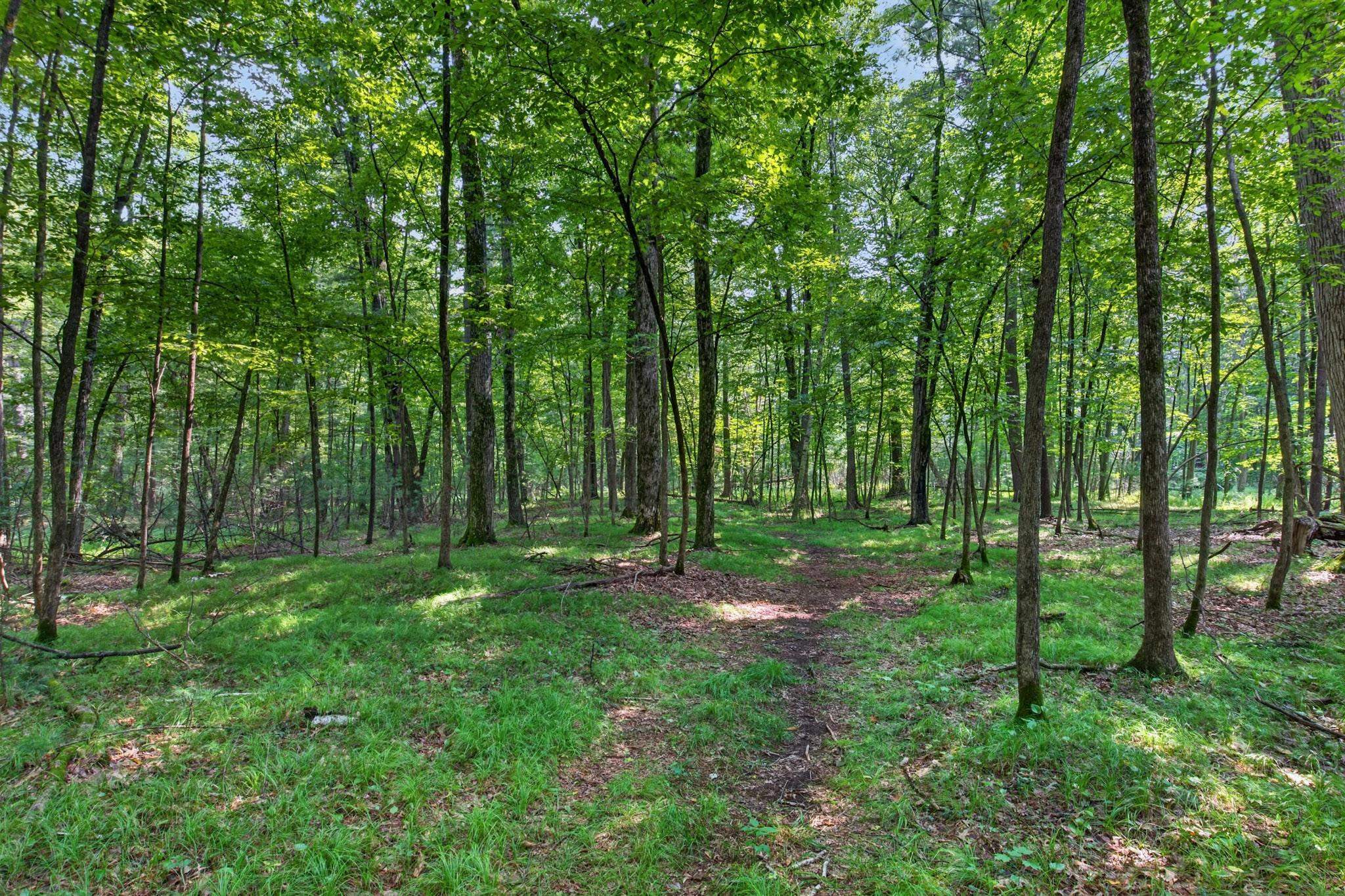 641 Seneca Road Property Photo 49