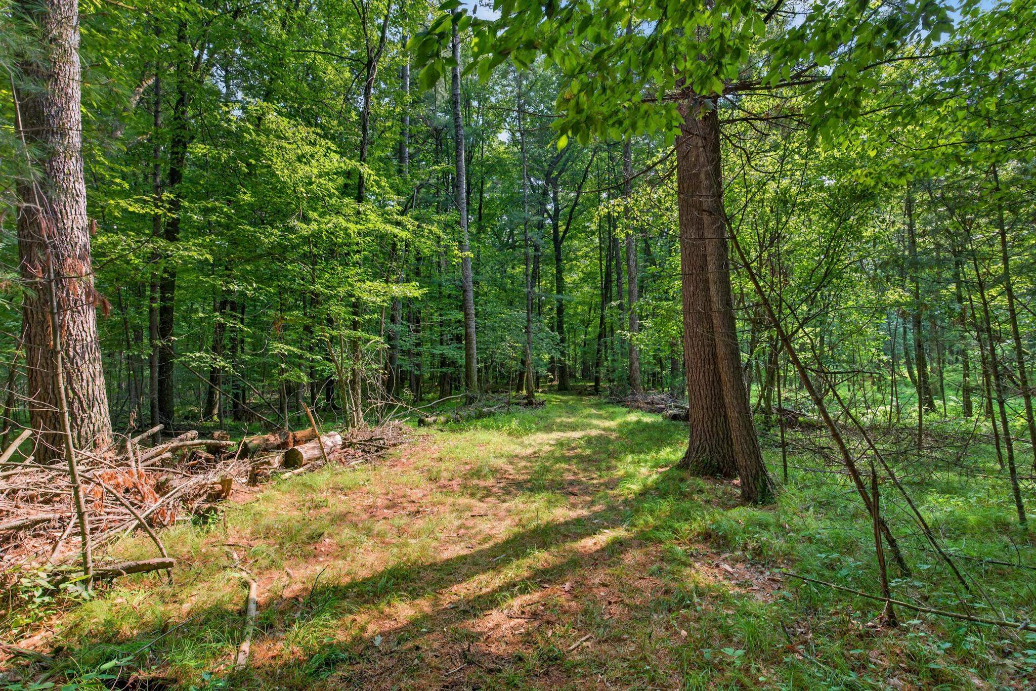 641 Seneca Road Property Photo 50