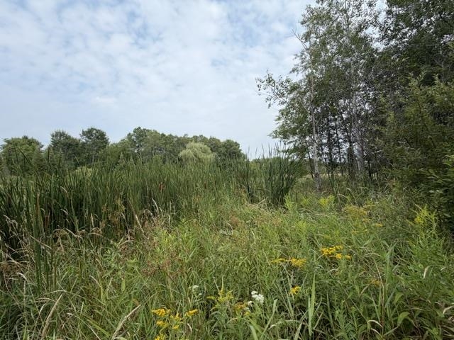 3319 North Road Property Photo 30