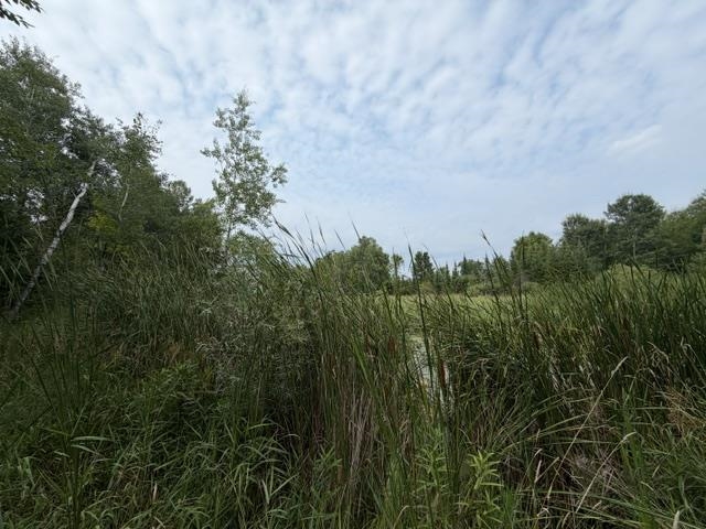 3319 North Road Property Photo 31