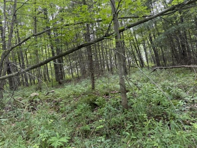 3319 North Road Property Photo 34